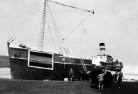 Tauro embarrancado, 1944